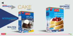 Molten cake, vanilla sponge cake